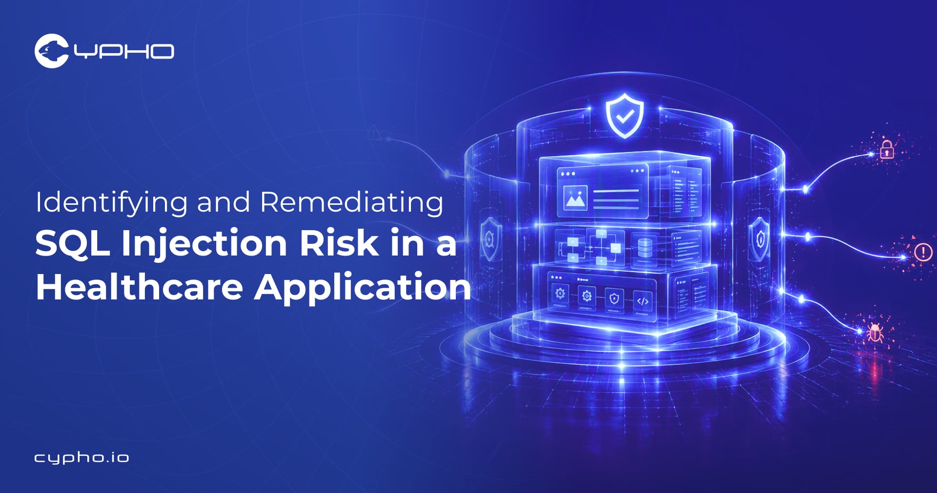 Identifying and Remediating SQL Injection Risk in a Healthcare Application