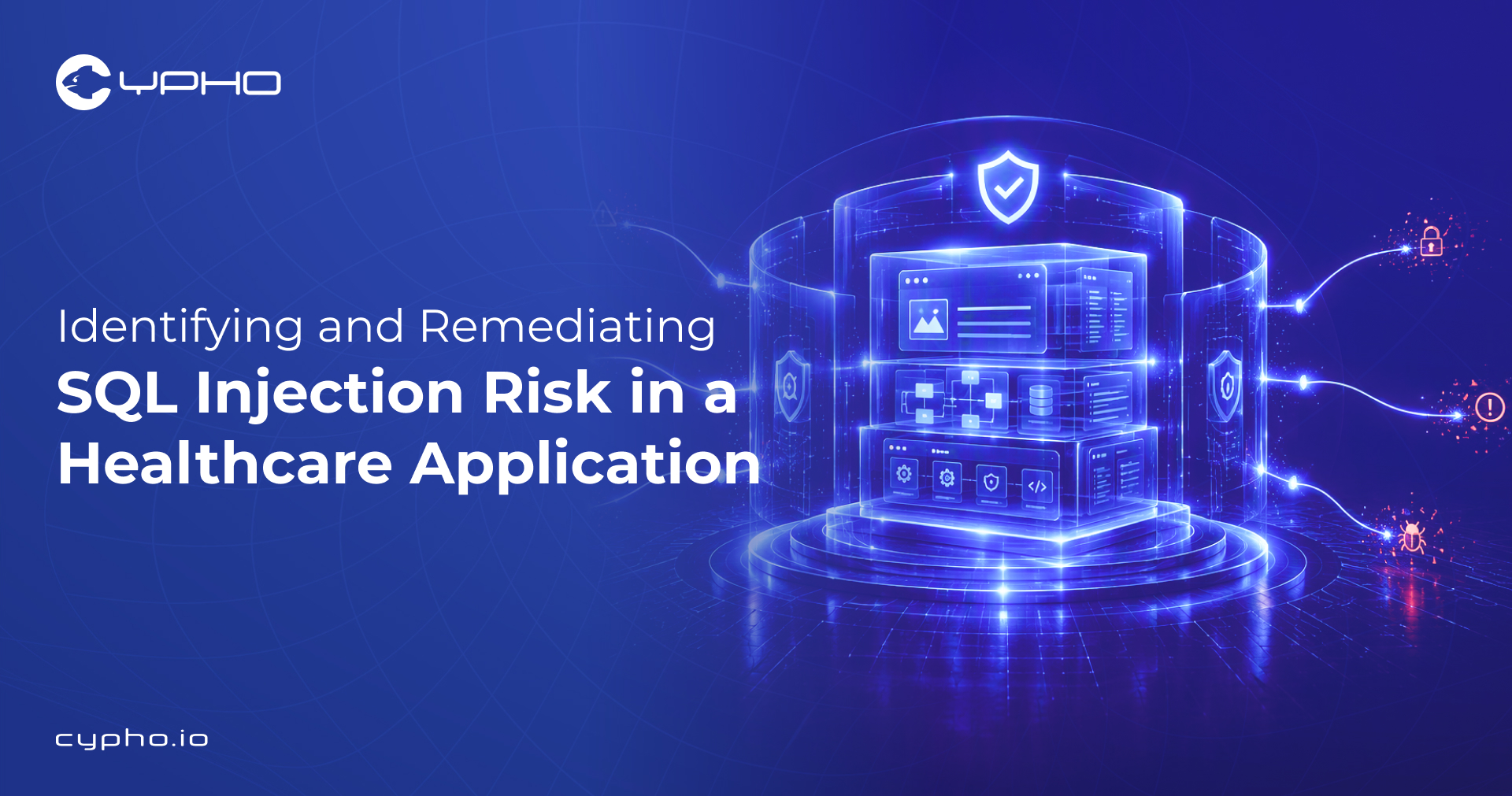 Identifying and Remediating SQL Injection Risk in a Healthcare Application